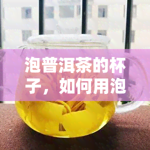 泡普洱茶的杯子，如何用泡普洱茶的杯子冲泡出完美的茶叶？