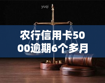 农行信用卡5000逾期6个多月，严重警告：农行信用卡5000元逾期6个月，影响信用记录！