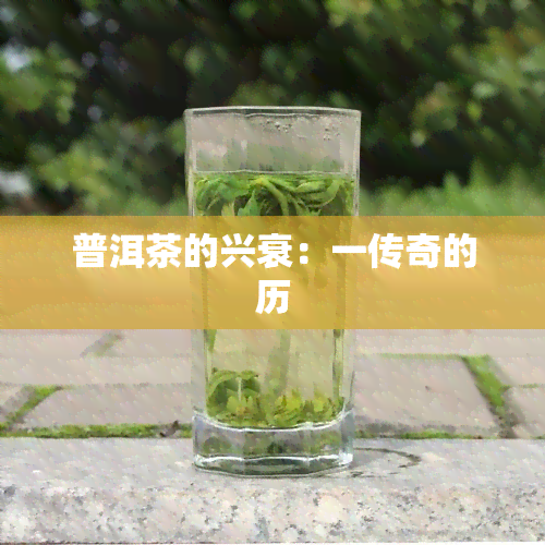 普洱茶的兴衰：一传奇的历