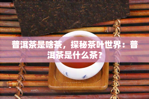 普洱茶是啥茶，探秘茶叶世界：普洱茶是什么茶？