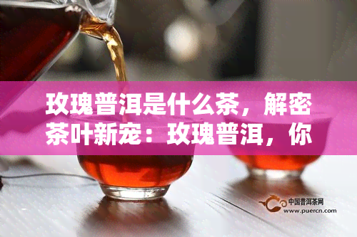 玫瑰普洱是什么茶，解密茶叶新宠：玫瑰普洱，你不可错过的独特口感体验！