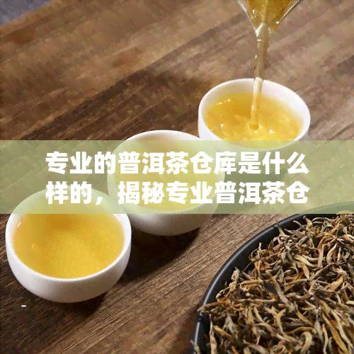 专业的普洱茶仓库是什么样的，揭秘专业普洱茶仓库：内部环境和管理要求