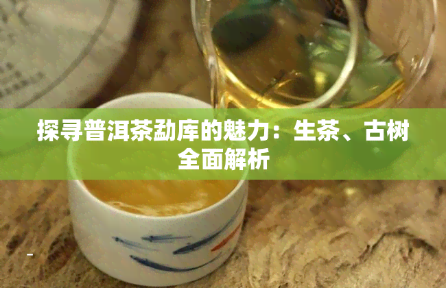 探寻普洱茶勐库的魅力：生茶、古树全面解析