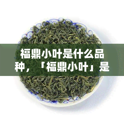 福鼎小叶是什么品种，「福鼎小叶」是什么茶？——揭开神秘面纱