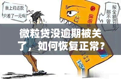 微粒贷没逾期被关了，如何恢复正常？