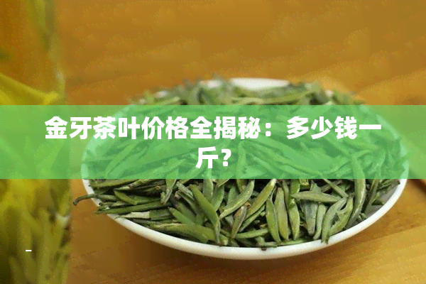 金牙茶叶价格全揭秘：多少钱一斤？