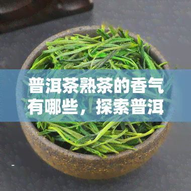 普洱茶熟茶的香气有哪些，探索普洱茶熟茶的香气世界：种类与特点解析