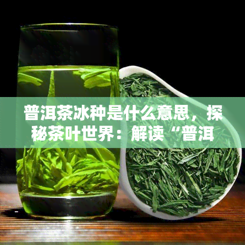 普洱茶冰种是什么意思，探秘茶叶世界：解读“普洱茶冰种”的含义与特点