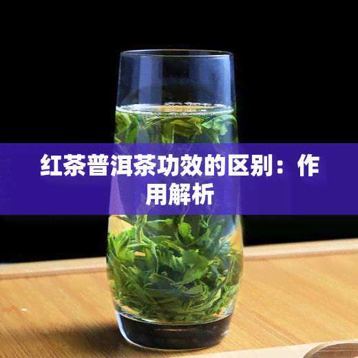 红茶普洱茶功效的区别：作用解析