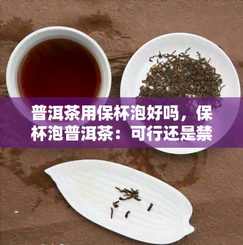 普洱茶用保杯泡好吗，保杯泡普洱茶：可行还是禁忌？