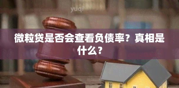 微粒贷是否会查看负债率？真相是什么？