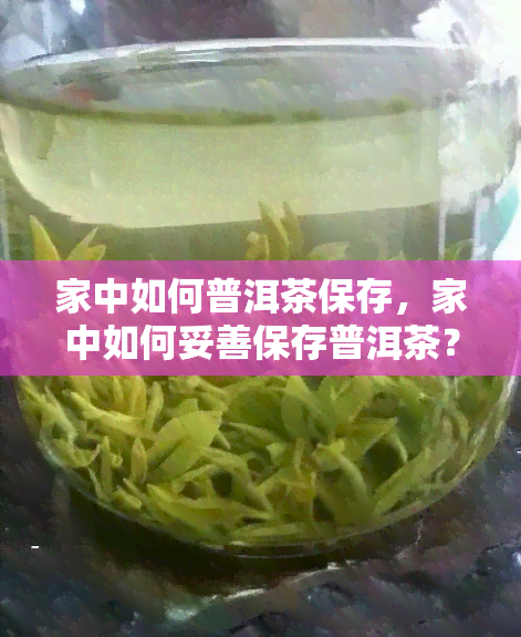 家中如何普洱茶保存，家中如何妥善保存普洱茶？一份详细指南在此！