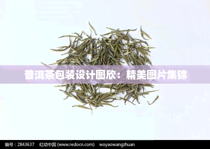 普洱茶包装设计图欣：精美图片集锦