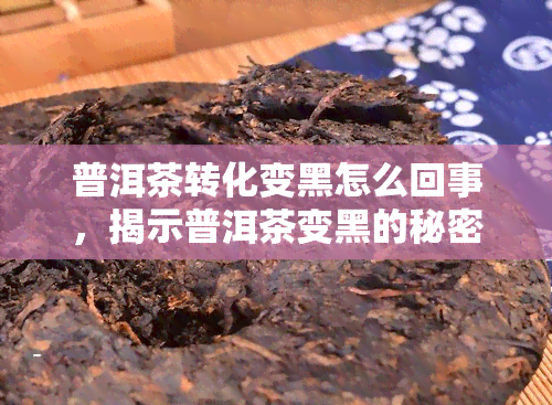 普洱茶转化变黑怎么回事，揭示普洱茶变黑的秘密：转化过程解析