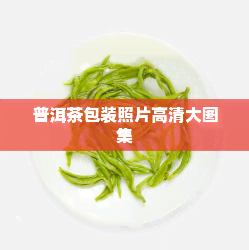 普洱茶包装照片高清大图集