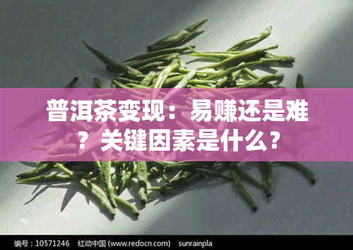 普洱茶变现：易赚还是难？关键因素是什么？