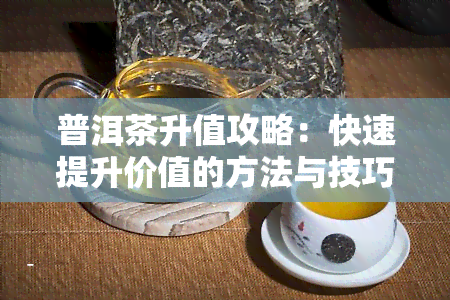 普洱茶升值攻略：快速提升价值的方法与技巧