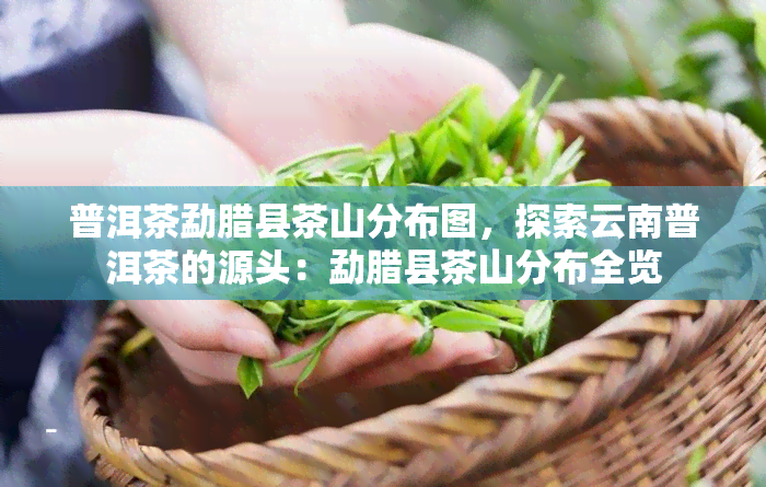 普洱茶勐腊县茶山分布图，探索云南普洱茶的源头：勐腊县茶山分布全览