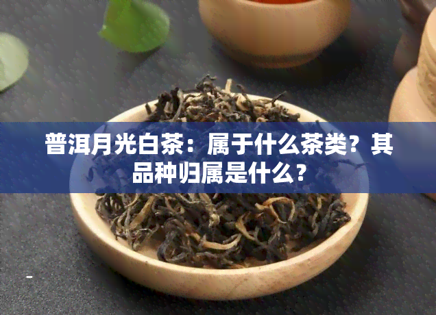 普洱月光白茶：属于什么茶类？其品种归属是什么？