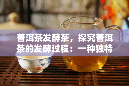 普洱茶发酵茶，探究普洱茶的发酵过程：一种独特的茶叶制作工艺