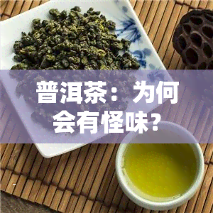 普洱茶：为何会有怪味？