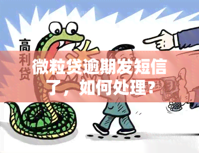 微粒贷逾期发短信了，如何处理？