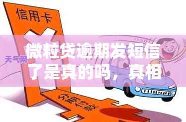 微粒贷逾期发短信了是真的吗，真相揭秘：微粒贷逾期后真的会发送短信提醒吗？