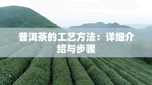 普洱茶的工艺方法：详细介绍与步骤