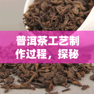 普洱茶工艺制作过程，探秘普洱茶的制作过程：从采摘到发酵的全过程解析