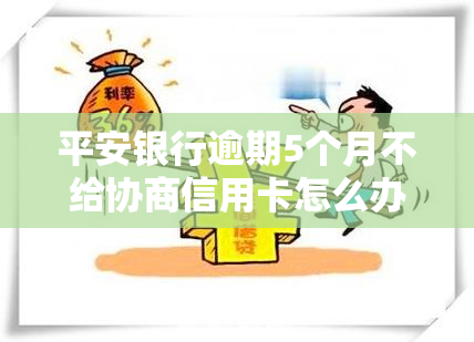 平安银行逾期5个月不给协商信用卡怎么办，平安银行信用卡逾期5个月未协商解决，如何应对？