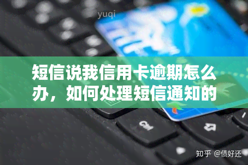 短信说我信用卡逾期怎么办，如何处理短信通知的信用卡逾期问题？