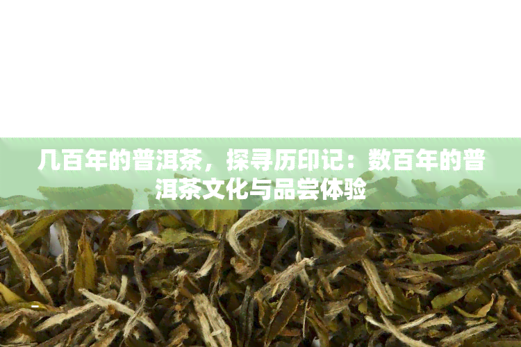 几百年的普洱茶，探寻历印记：数百年的普洱茶文化与品尝体验