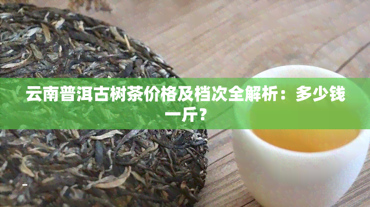 云南普洱古树茶价格及档次全解析：多少钱一斤？