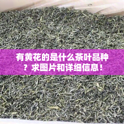 有黄花的是什么茶叶品种？求图片和详细信息！