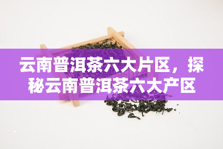 云南普洱茶六大片区，探秘云南普洱茶六大产区，领略独特的茶香风情