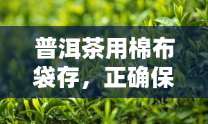 普洱茶用棉布袋存，正确保存普洱茶：使用棉布袋的方法