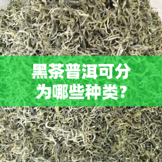 黑茶普洱可分为哪些种类？