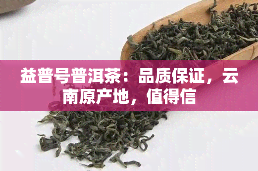 益普号普洱茶：品质保证，云南原产地，值得信