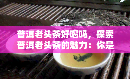 普洱老头茶好喝吗，探索普洱老头茶的魅力：你是否被它的好喝口感所吸引？