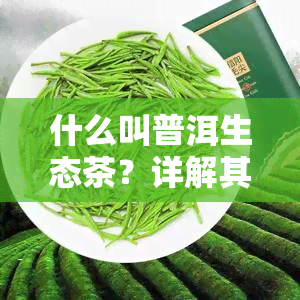 什么叫普洱生态茶？详解其定义、特点及种植过程