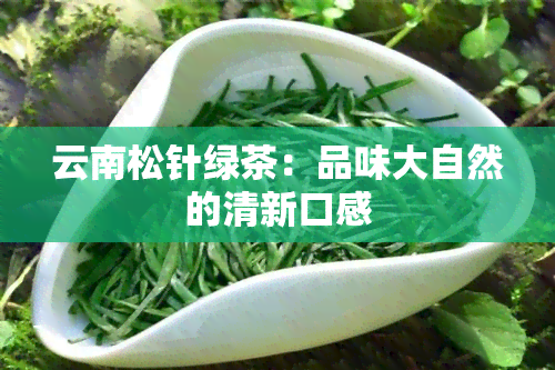 云南松针绿茶：品味大自然的清新口感