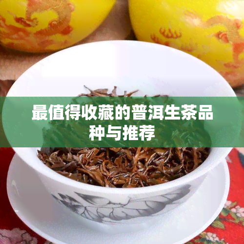 最值得收藏的普洱生茶品种与推荐