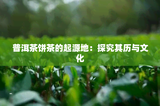 普洱茶饼茶的起源地：探究其历与文化