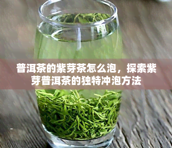 普洱茶的紫芽茶怎么泡，探索紫芽普洱茶的独特冲泡方法