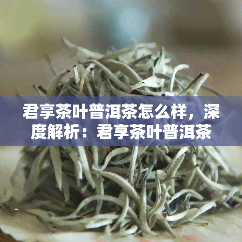 君享茶叶普洱茶怎么样，深度解析：君享茶叶普洱茶的品质与口感如何？