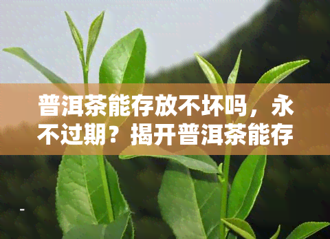 普洱茶能存放不坏吗，永不过期？揭开普洱茶能存放不坏的神秘面纱！