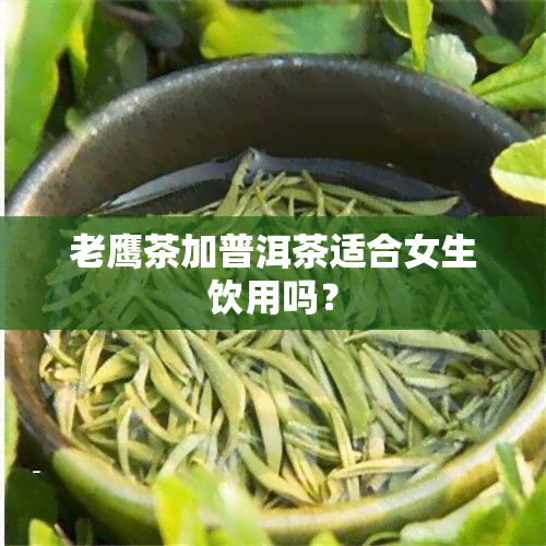 老鹰茶加普洱茶适合女生饮用吗？