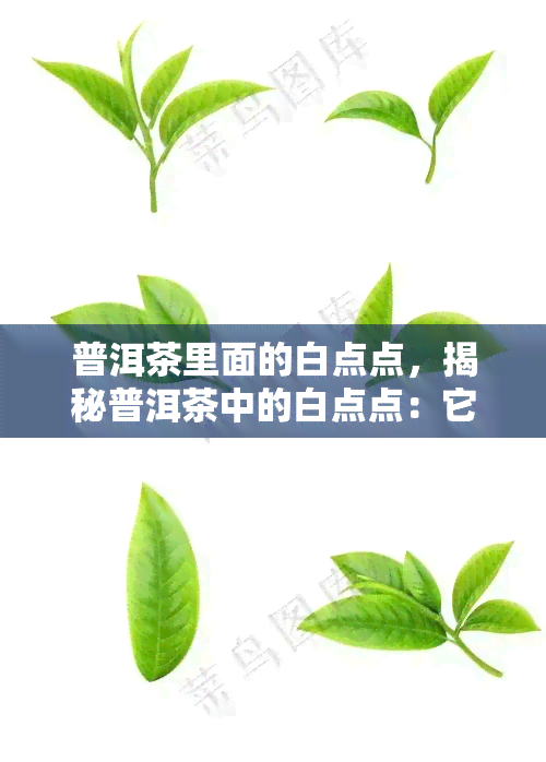 普洱茶里面的白点点，揭秘普洱茶中的白点点：它们是什么，有何作用？