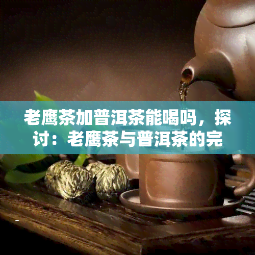 老鹰茶加普洱茶能喝吗，探讨：老鹰茶与普洱茶的完美搭配，能否一同饮用？