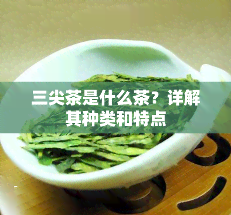 三尖茶是什么茶？详解其种类和特点